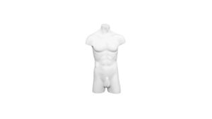 Male Headless Torso – FM0508 Male Headless Torso - FM0508