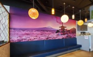 Hoshi Japanese Cuisine Hoshi Japanese Cuisine