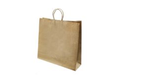 Twisted Paper Handle Bags – 16” Twisted Paper Handle Bags - 16''