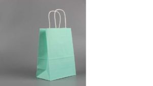 Twisted Paper Handle Bags – 8¼” Mint Twisted Paper Handle Bags - 8¼'' Mint