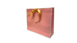 11½”H Pink with gold ribbon Gift Paper Bag 11½"H Pink with gold ribbon Gift Paper Bag