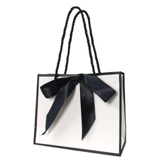 6"H White with Black Ribbon Gift Paper Bag