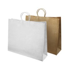 twisted-paper-handle-bags-16- Twisted Paper Handle bags 16½"