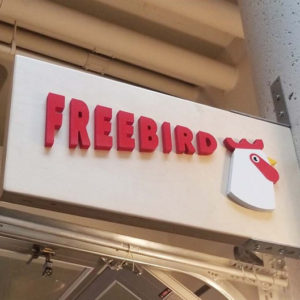 Freebird 2 Freebird 2