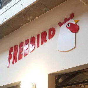 Freebird Freebird