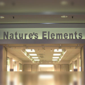 Nature's Elements