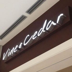 Vine + Cellar Vine + Cellar
