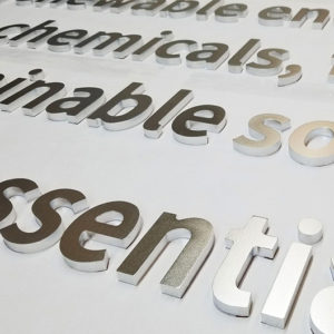 Vision – Realizing Our Full Capability Vision - Realizing Our Full Capability